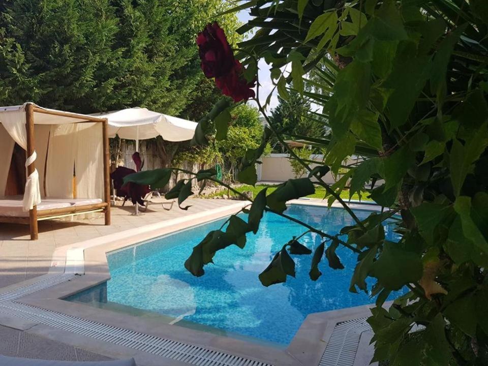 Villa Adonis With Private Pool By Lefkadastay Экстерьер фото